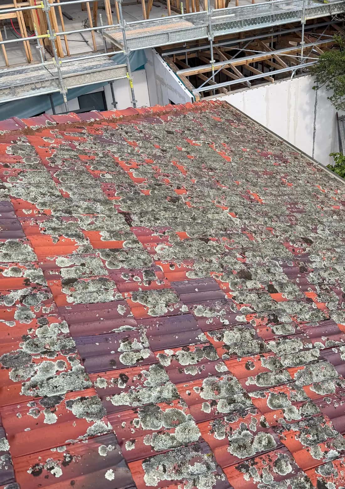 Exterior before cleaning result 3