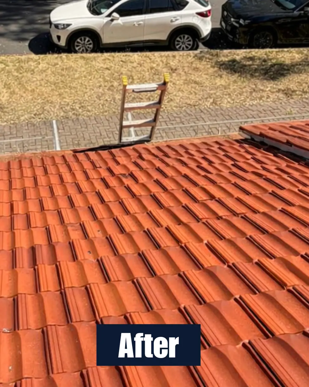 Roof after cleaning 3