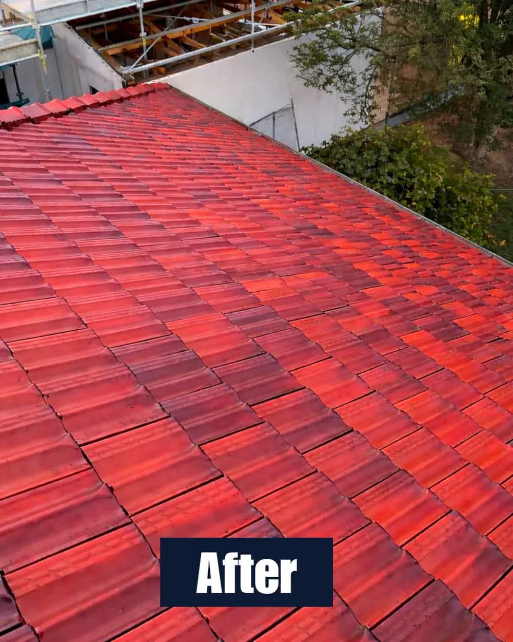 Roof after cleaning 2