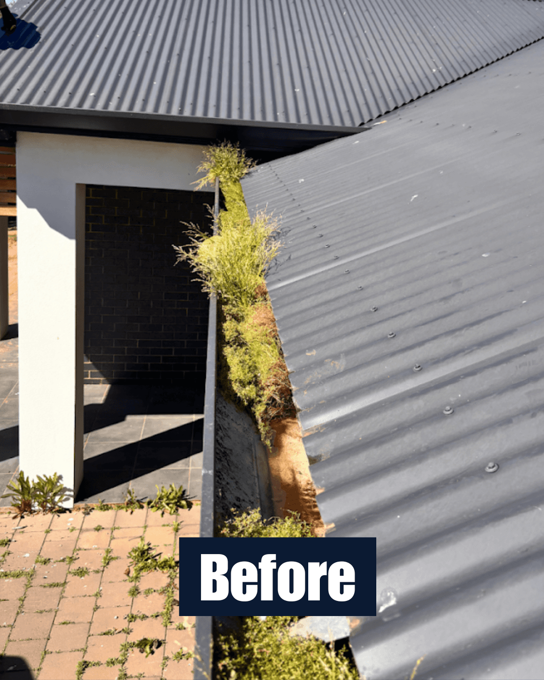 Blocked gutter before cleaning with heavy plant growth