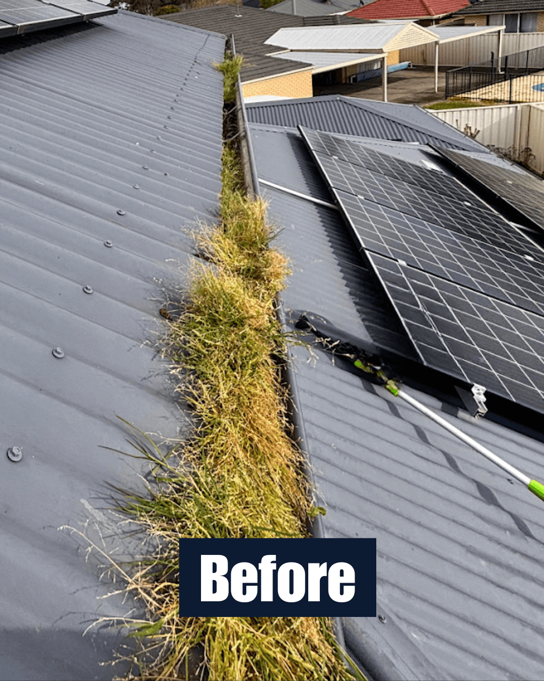 Blocked gutter before cleaning with heavy grass and debris build-up