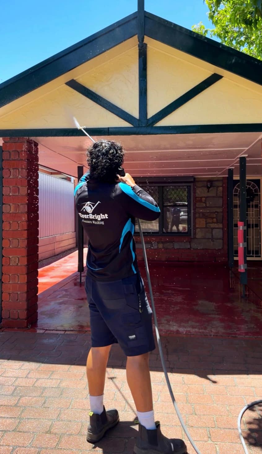 Exterior cleaning service in progress