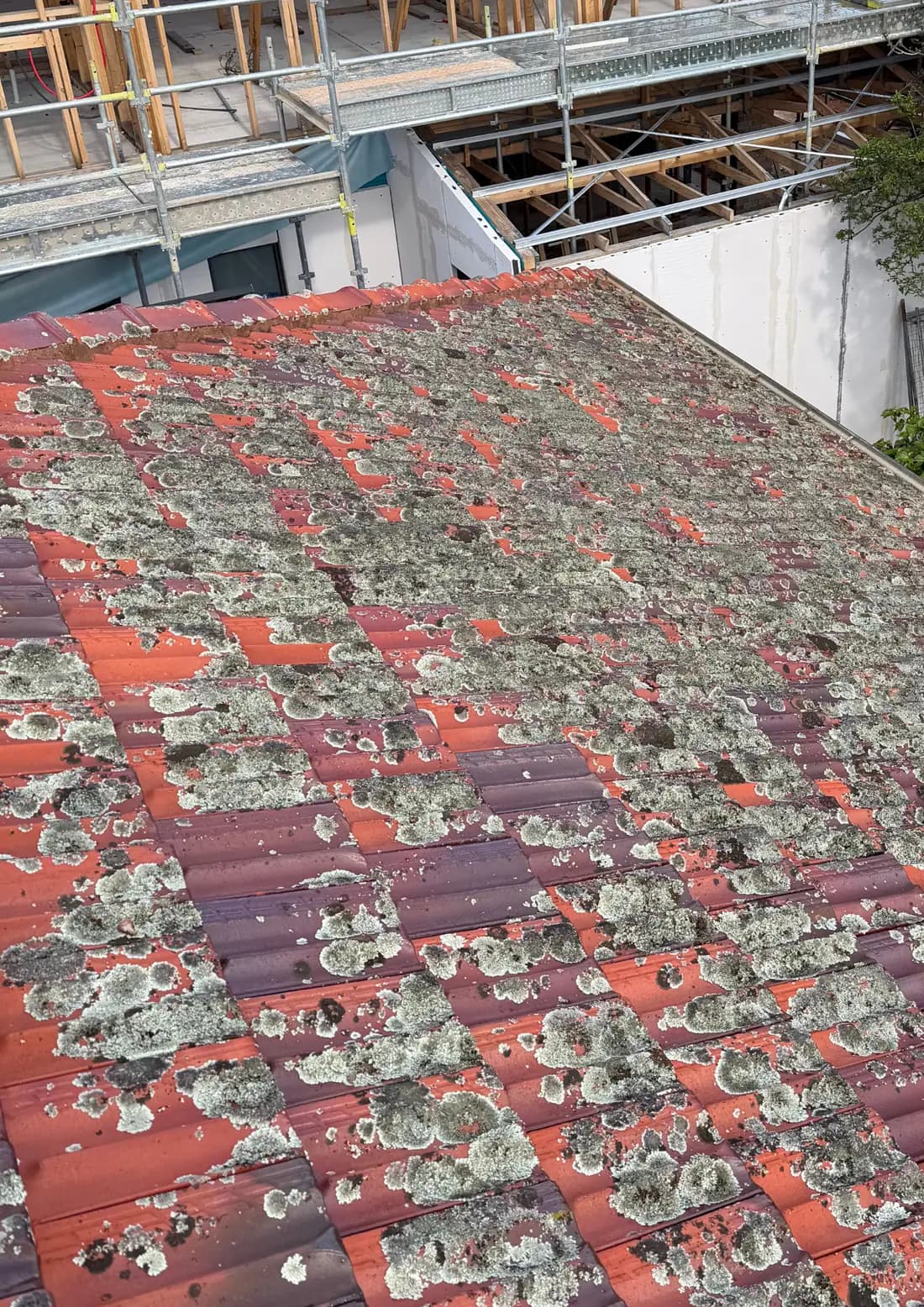 Exterior before cleaning result 3