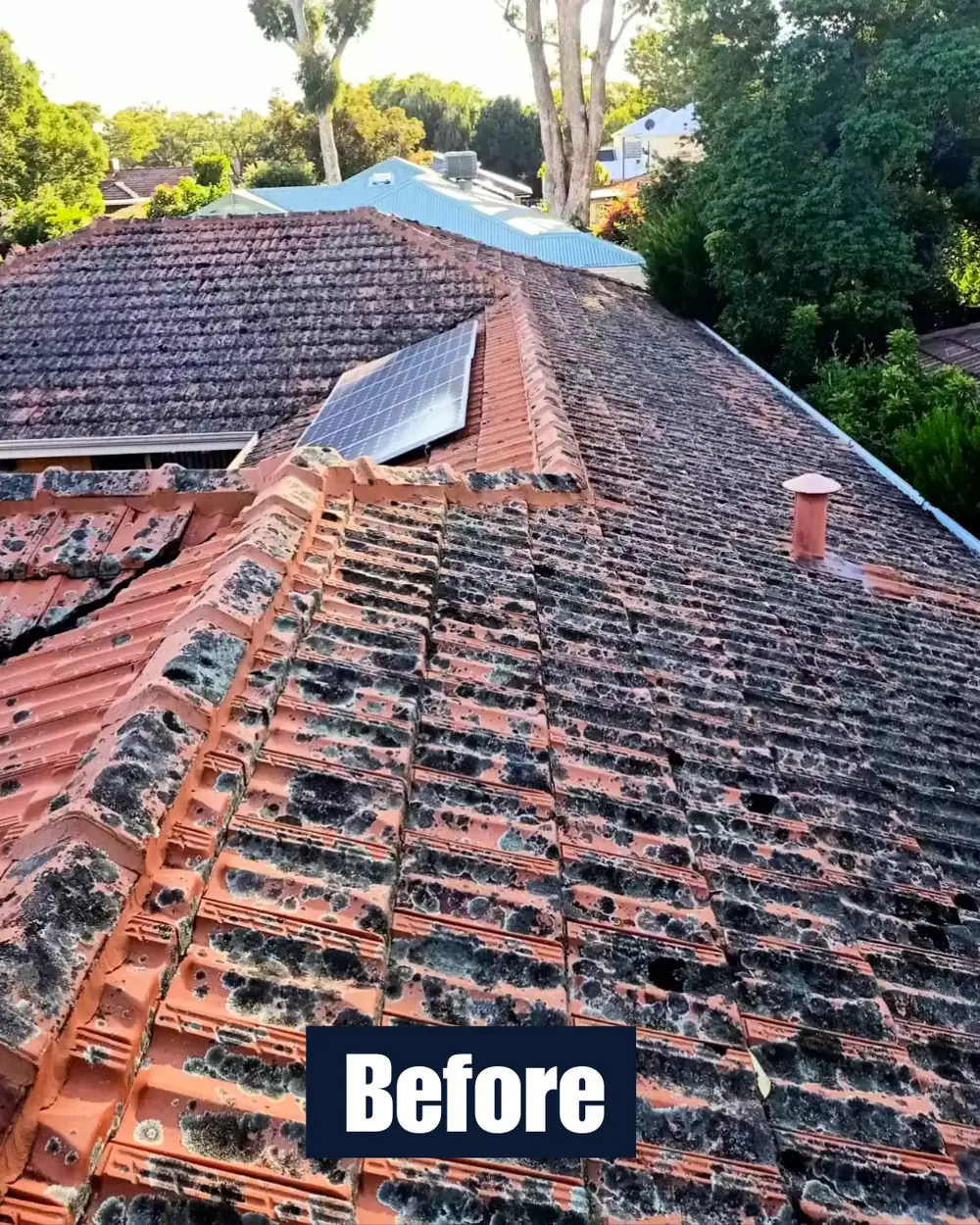 Roof before cleaning 1