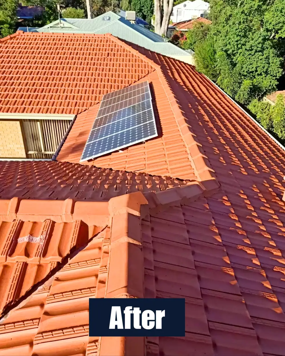 Roof after cleaning 1