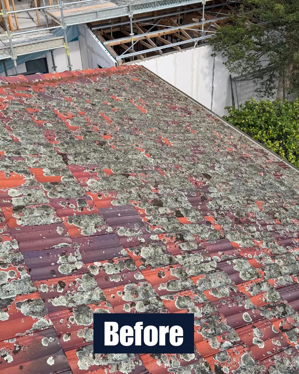 Roof before cleaning 2