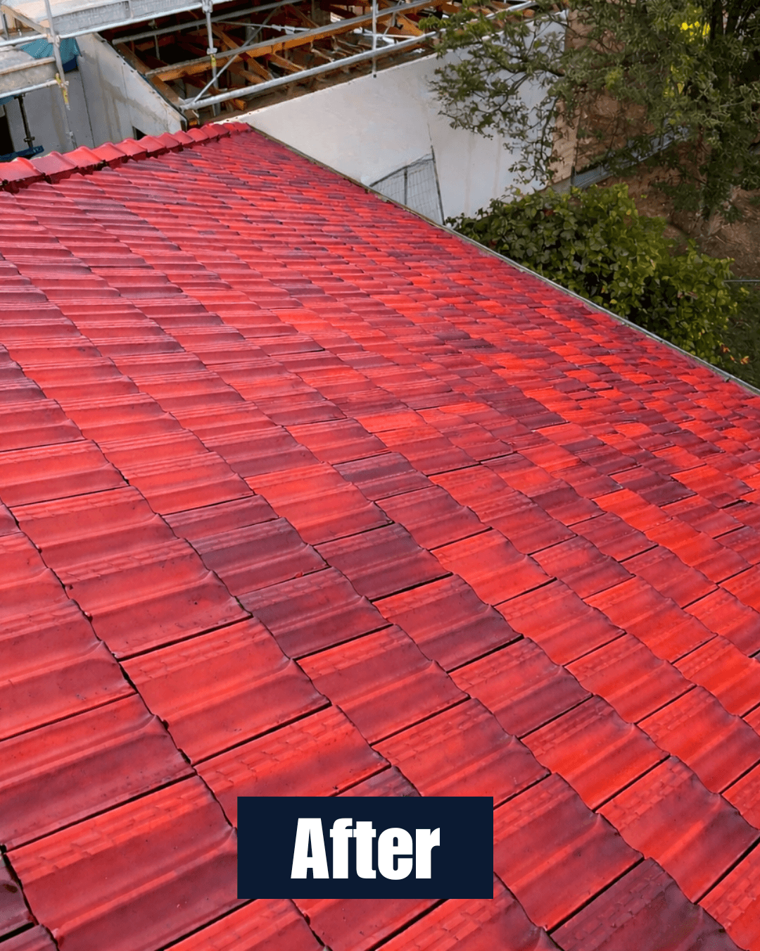 Roof after cleaning 2