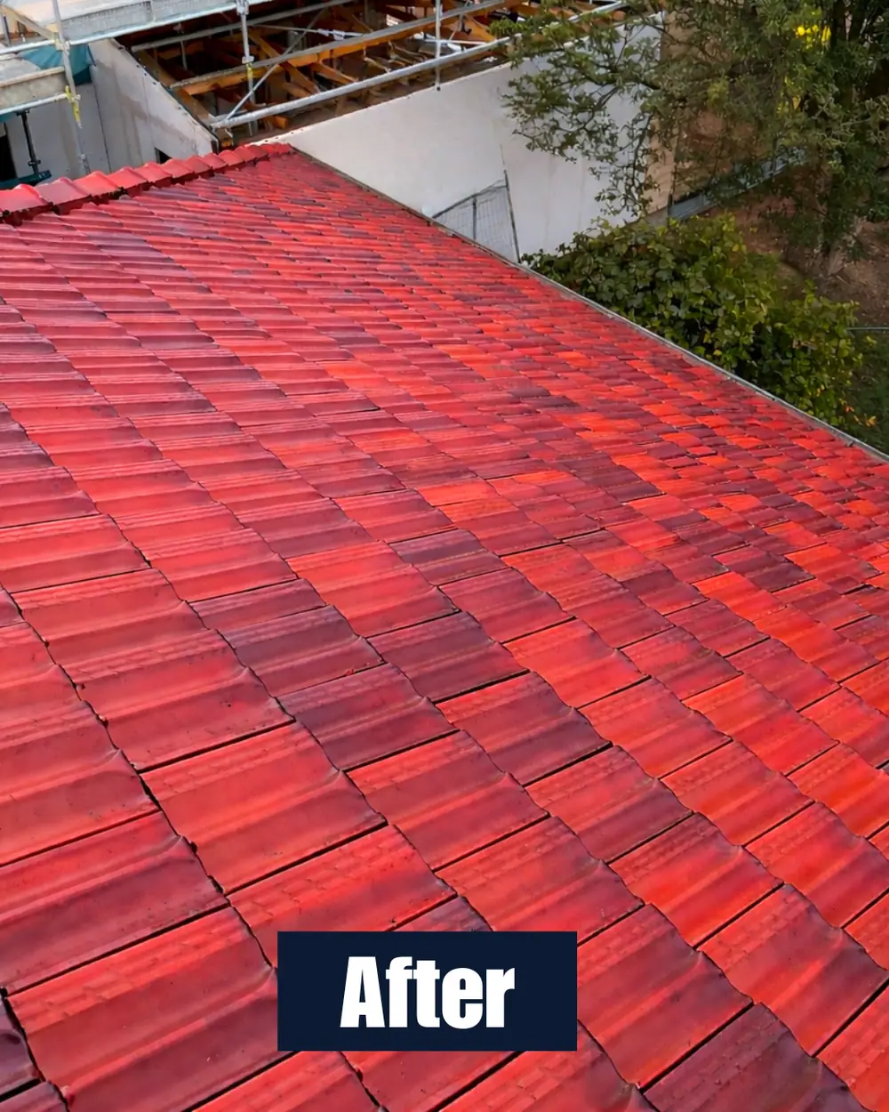 Roof after cleaning 2