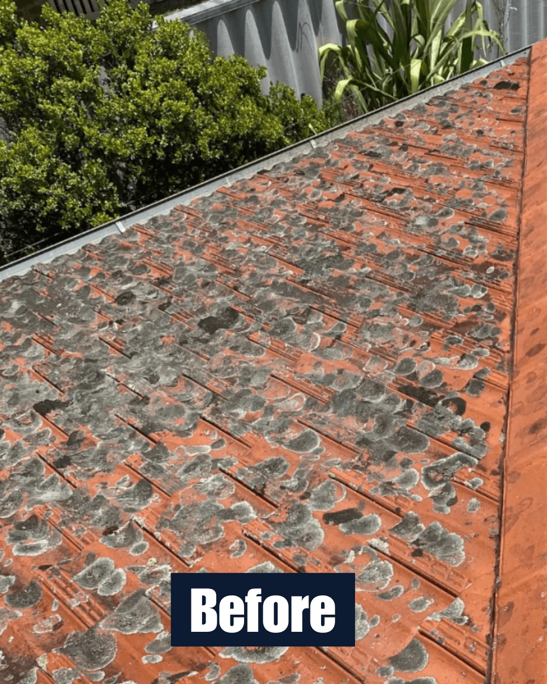 Roof before cleaning 3