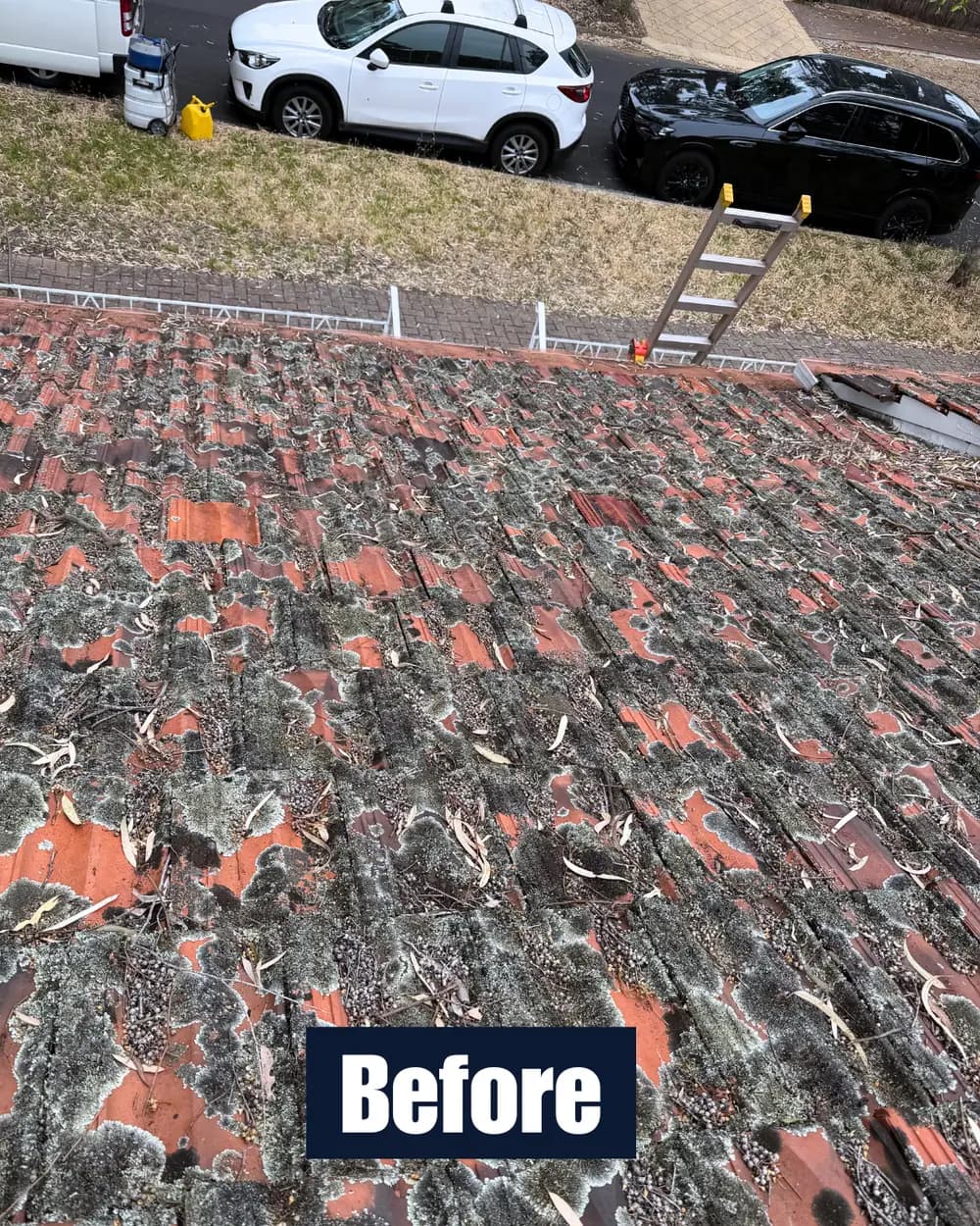 Roof before cleaning 3
