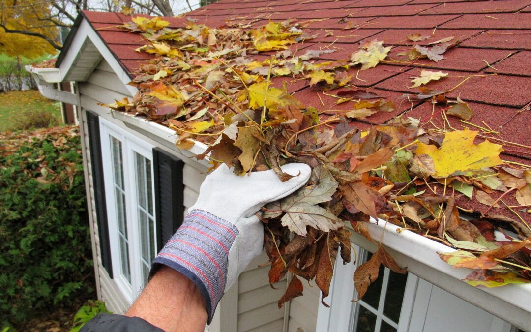 Gloved hand clearing a thick pile of fallen leaves out of a roof gutter